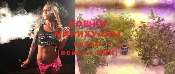 крисы Балахна