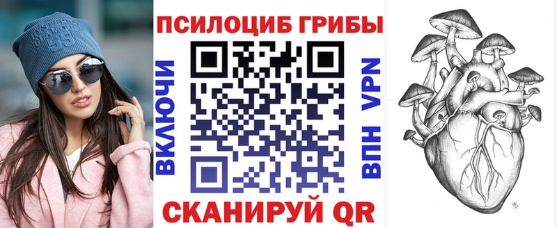закладка  Вельск  Псилоцибиновые грибы Magic Shrooms 
